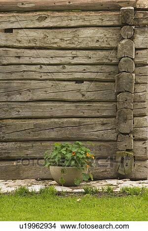 Picture - Barrier, Boundary, Fence, Flower, Flower Pot. Fotosearch