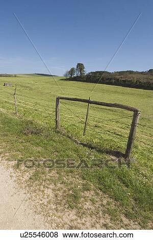 Stock Photo - blue sky, climate, cultivated. Fotosearch