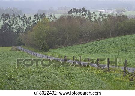 Stock Image - blue, sky, clouds, atmosphere, trees, green. Fotosearch