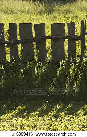 Stock Photograph - Calm, Day, Grass, Greenery, Nature. Fotosearch