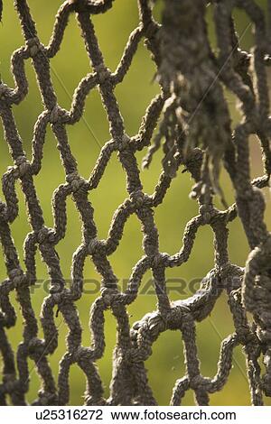 Stock Image - Close-Up, Design, Field, Intertwined, Interwoven. Fotosearch