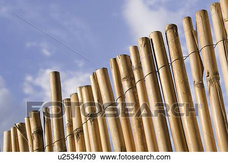 Cloud, Bamboo, Close-Up, Brown, Blue, Arrangement View Large Photo Image Stock Photo - Cloud, Bamboo, Close-Up, Brown, Blue, Arrangement. Fotosearch