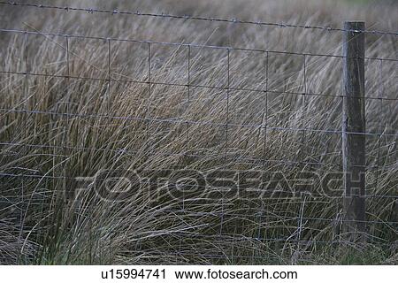 Day, Fence, Focus On Foreground, Metal View Large Photo Image Stock Image - Day, Fence, Focus On Foreground, Metal. Fotosearch