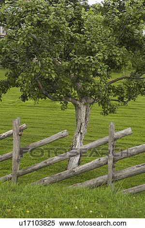 Day, Outdoors View Large Photo Image Stock Photography - Day, Outdoors. Fotosearch