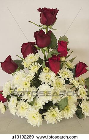 Stock Photo - blooms, blossoms. Fotosearch