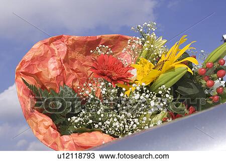 Stock Image - Blue, Colorful, Cloud, Close-Up, Assortment. Fotosearch