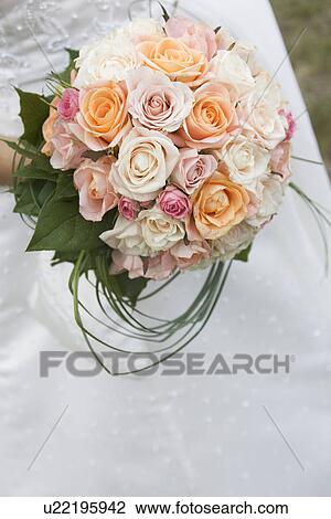 Day, Outdoors, Blooms View Large Photo Image Stock Image - Day, Outdoors, Blooms. Fotosearch