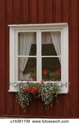 glass, building, establishment, developed, cottage, appearance View Large Photo Image Stock Photo - glass, building, establishment, developed, cottage, appearance. Fotosearch
