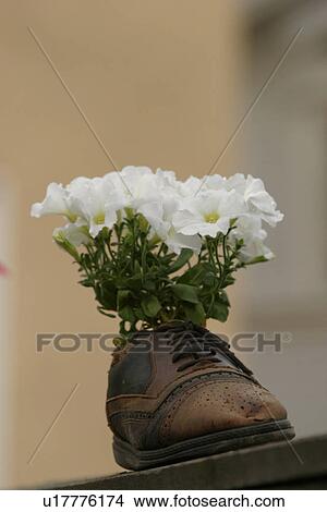 Picture - leather, footgear, footwear, outdoors, close-up, shoes. Fotosearch