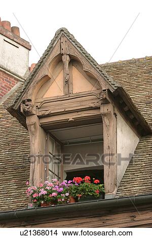 Picture - porch, stamen, petal, plant, grow, close-up. Fotosearch