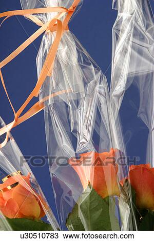 Stock Image - stamen, petal, blossom, flower, flora, plant. Fotosearch
