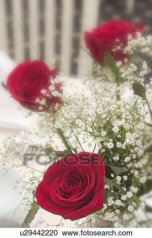 Stock Image - vase, shadows, interior, design, container, crystal. Fotosearch