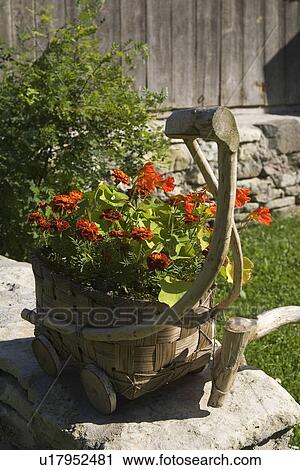 Basket, Cart, Close-Up, Flora, Flower View Large Photo Image Stock Image - Basket, Cart, Close-Up, Flora, Flower. Fotosearch