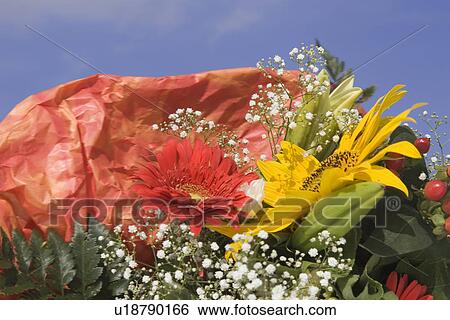 Stock Photograph - Blue, Colorful, Close-Up, Bouquet, Assortment. Fotosearch