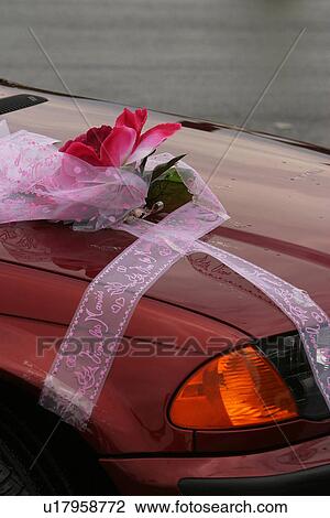 car, vehicle, close-up, display, shine, parked View Large Photo Image Stock Image - car, vehicle, close-up, display, shine, parked. Fotosearch