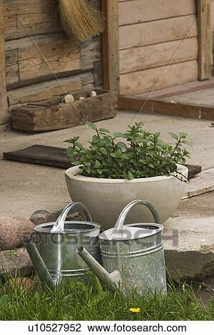 Stock Image - Water, Sprinkler, Watering Can, Front Or Back Yard, Gardening. Fotosearch