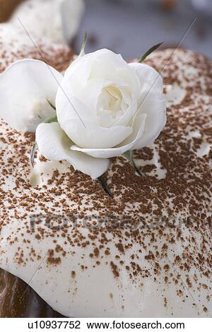 Stock Image - Baked, Cake, Close-Up, Cream, Day. Fotosearch