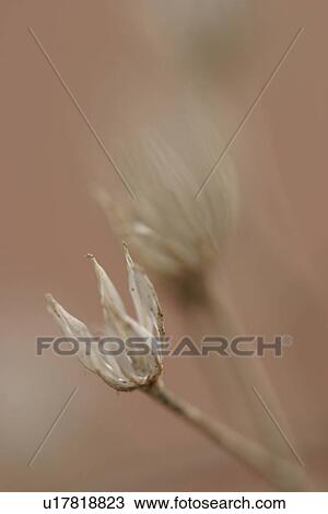 Stock Image - climate, seasonal, scenic, calm, serene, placid. Fotosearch