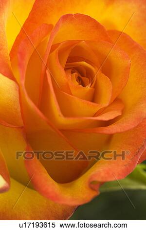 Stock Photography - Day, Nature. Fotosearch