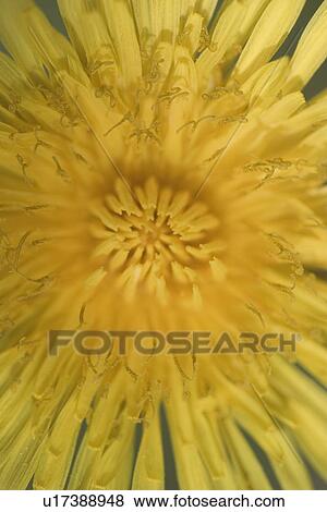 background, blur, blurred View Large Photo Image Stock Photo - background, blur, blurred. Fotosearch