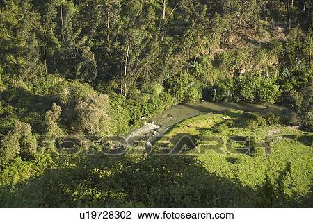 aerial view, aerial View Large Photo Image Stock Image - aerial view, aerial. Fotosearch