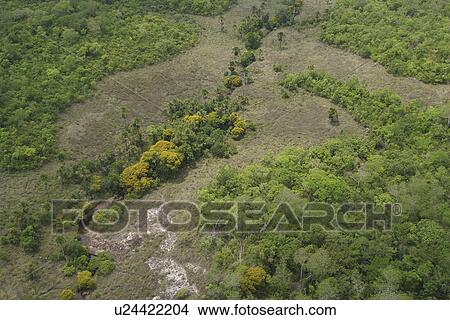 Picture - background, cluster, aerial. Fotosearch