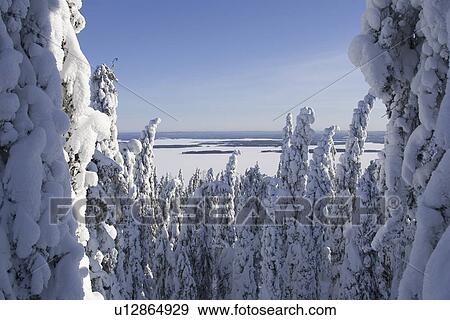 Stock Photo - Blue, Clear Sky, Covering, Day, Dense. Fotosearch