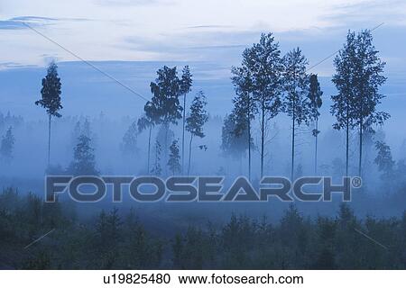Blue Sky, Day, Condition, Climate, Air View Large Photo Image Stock Image - Blue Sky, Day, Condition, Climate, Air. Fotosearch