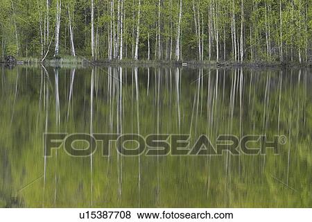 calm, climate, day View Large Photo Image Stock Photo - calm, climate, day. Fotosearch