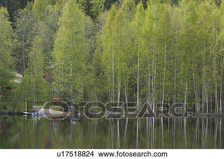 Picture - calm, climate, environment. Fotosearch