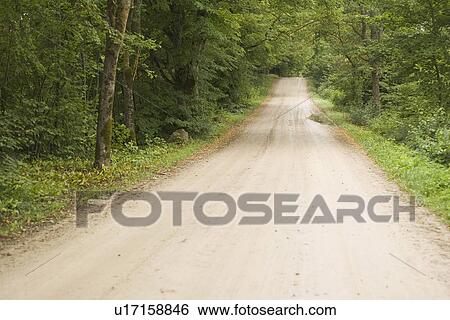 Stock Photograph - Country Road, Day, Dense, Forest, Grass. Fotosearch