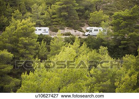 Stock Photo - Day, Dense, Forest, Green, Hillside. Fotosearch