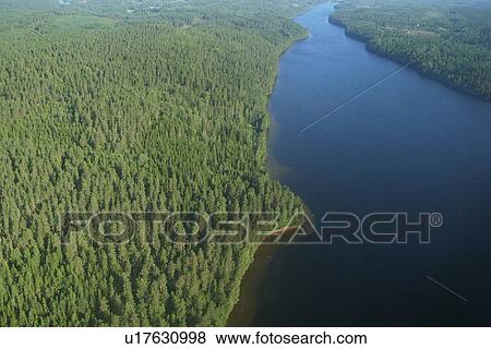 Stock Photo - forest, aerial view, landscape, view, vista, aerial. Fotosearch