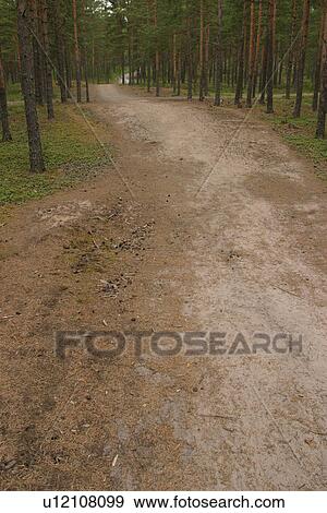 plant, plant life, flora, growth, green, environment View Large Photo Image Stock Photo - plant, plant life, flora, growth, green, environment. Fotosearch