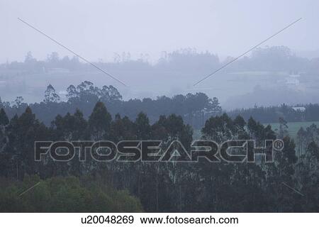 Stock Photo - sky, clouds, shadow, atmosphere, climate, habitat. Fotosearch