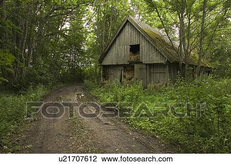 Stock Image - Trees, Day. Fotosearch