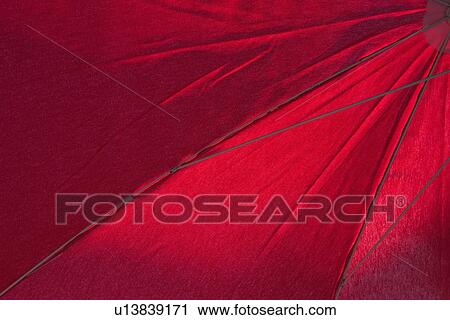 Lines, Covering, Light View Large Photo Image Stock Image - Lines, Covering, Light. Fotosearch