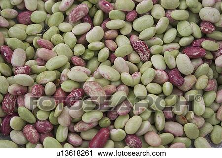 beans View Large Photo Image Stock Image - beans. Fotosearch