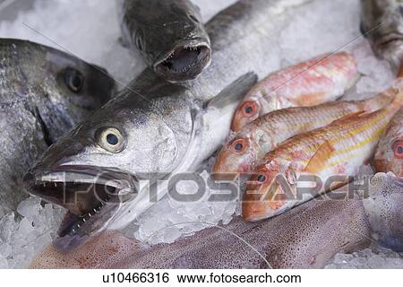 Stock Photograph - Close-Up, Dead Animal, Fish, Fish Market, Food. Fotosearch
