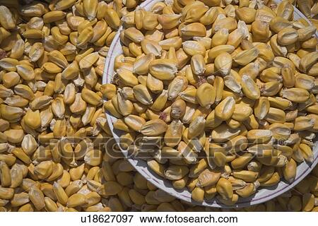 Stock Photo - close-up, edible. Fotosearch