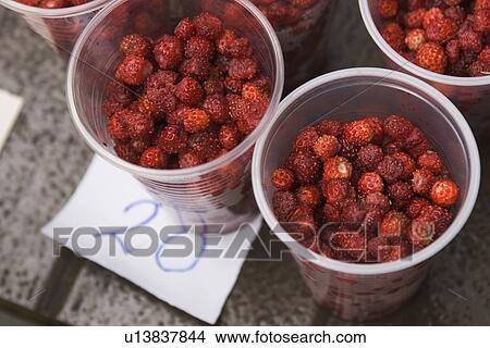 Picture - Commerce, Edible, Food. Fotosearch