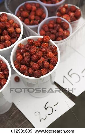 Commerce, Edible, Food View Large Photo Image Stock Photo - Commerce, Edible, Food. Fotosearch