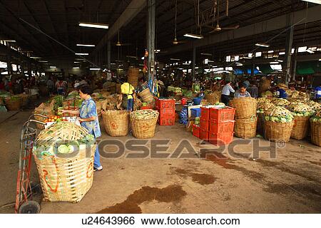 market, grocers, groceries, produce, fruit, vegetables View Large Photo Image Stock Photograph - market, grocers, groceries, produce, fruit, vegetables. Fotosearch