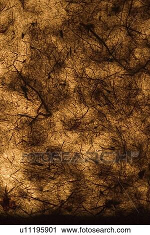 Stock Image - artistic, background, appearance. Fotosearch
