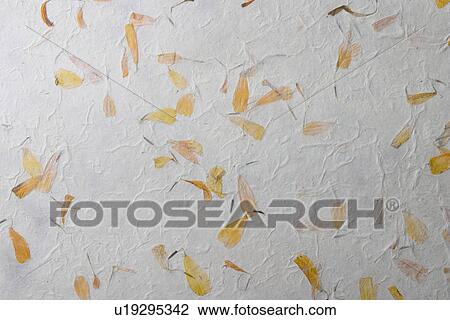 background, artistic, pattern, dry flowers, appearance, art View Large Photo Image Stock Image - background, artistic, pattern, dry flowers, appearance, art. Fotosearch
