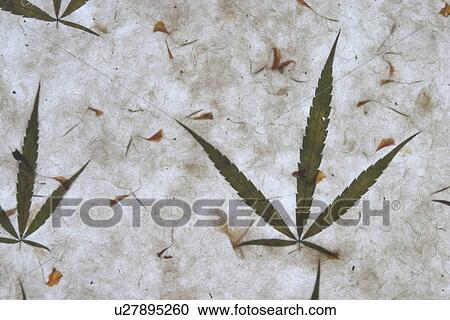 Stock Image - background, artistic, pattern, dry flowers, appearance, art. Fotosearch