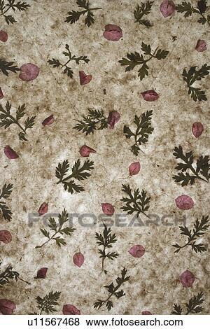 background, artistic, pattern, dry flowers, appearance, art View Large Photo Image Stock Photo - background, artistic, pattern, dry flowers, appearance, art. Fotosearch