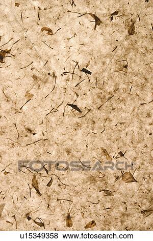 Stock Photo - background, artistic, pattern, dry flowers, appearance, art. Fotosearch