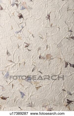 Stock Photo - background, artistic, pattern, dry flowers, appearance, art. Fotosearch