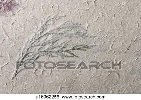 Stock Photograph - background, artistic, pattern, dry flowers, appearance, art. Fotosearch